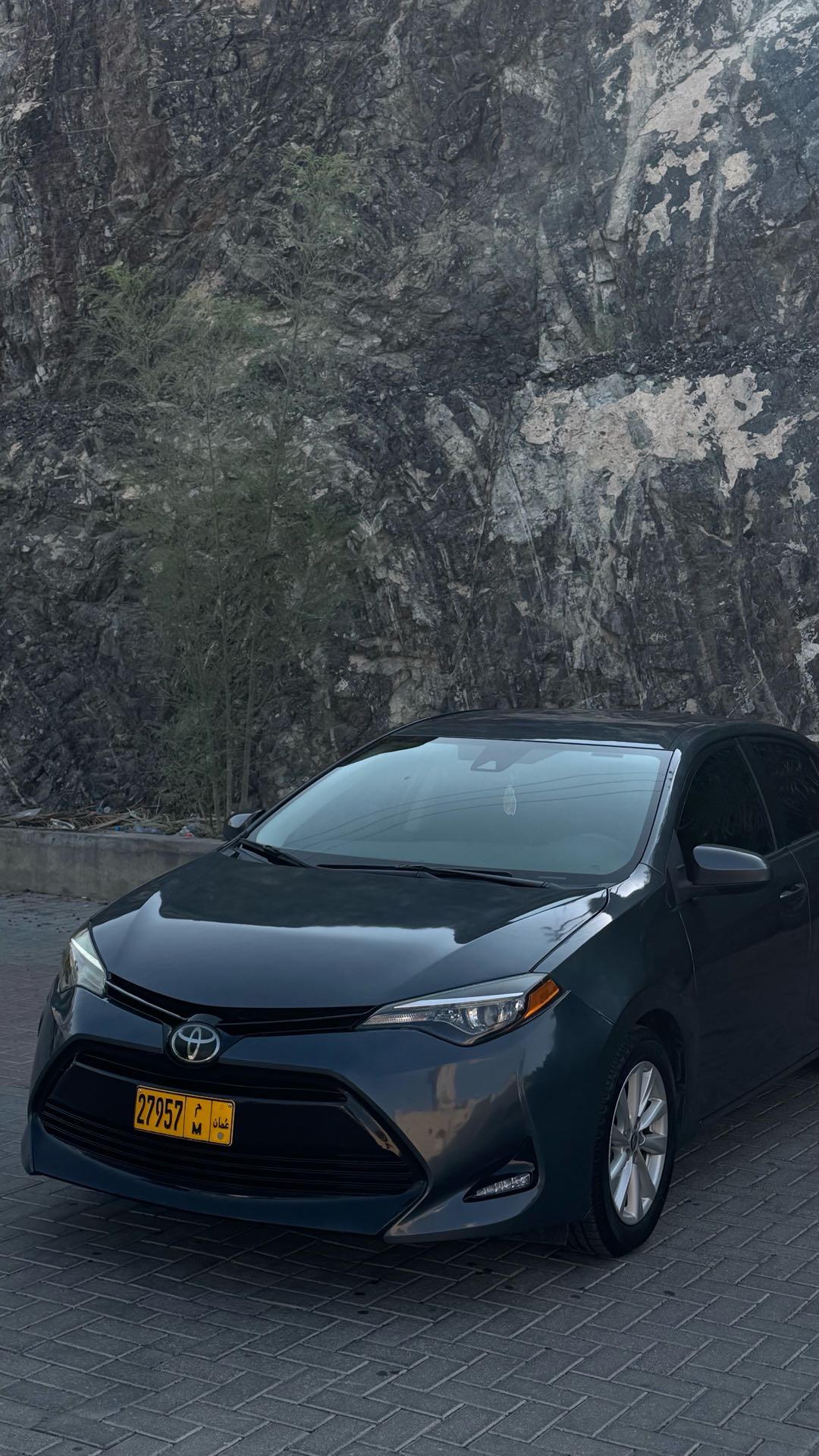 Car Image 2019 TOYOTA COROLLA L