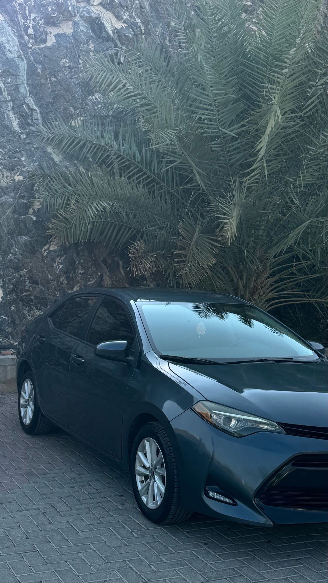 Car Image 2019 TOYOTA COROLLA L