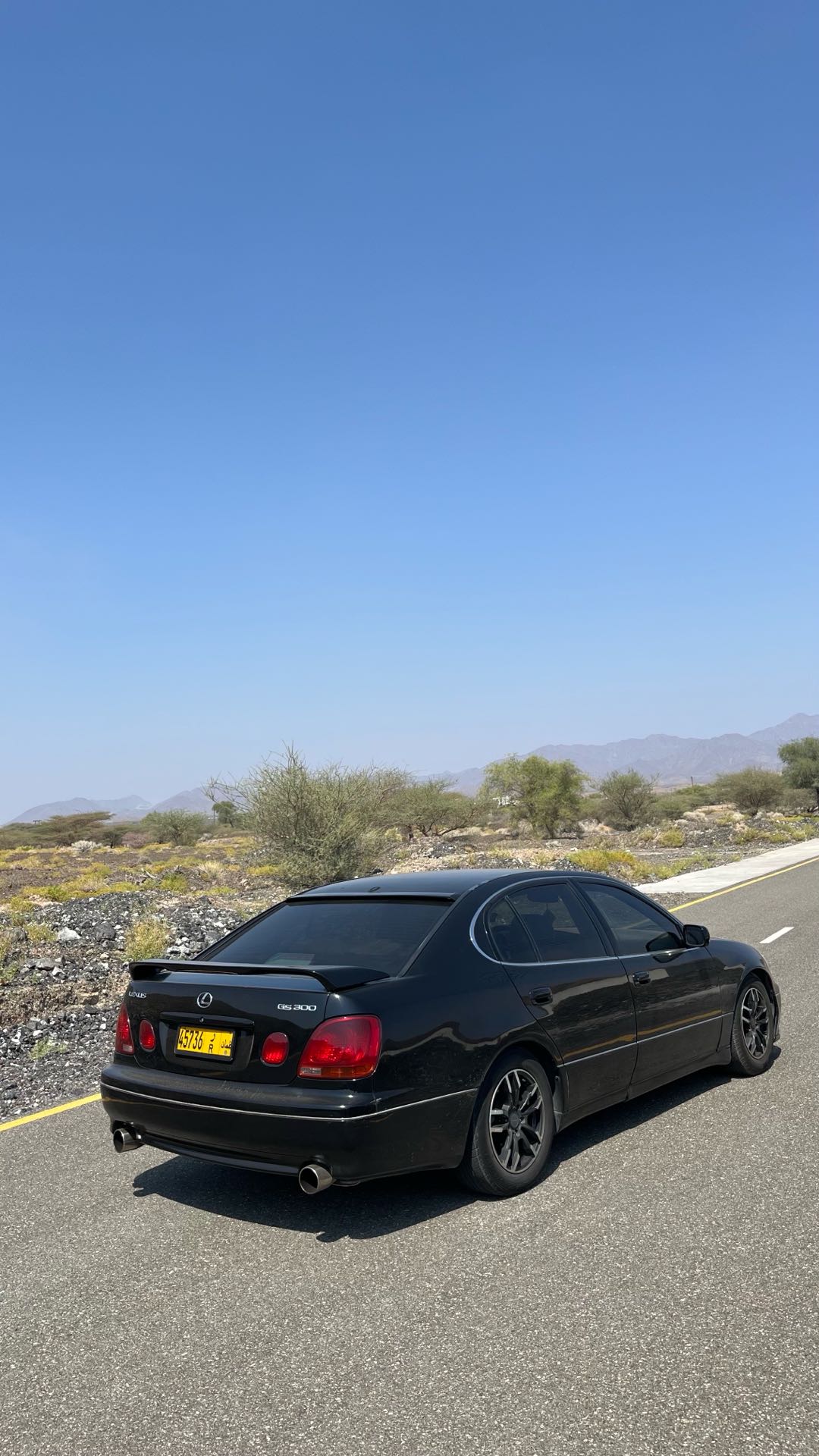 Car Image 2004 LEXUS GS 300