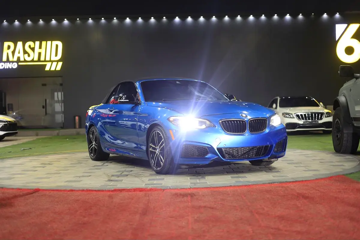 Car Image 2020 BMW 2 SERIES 240