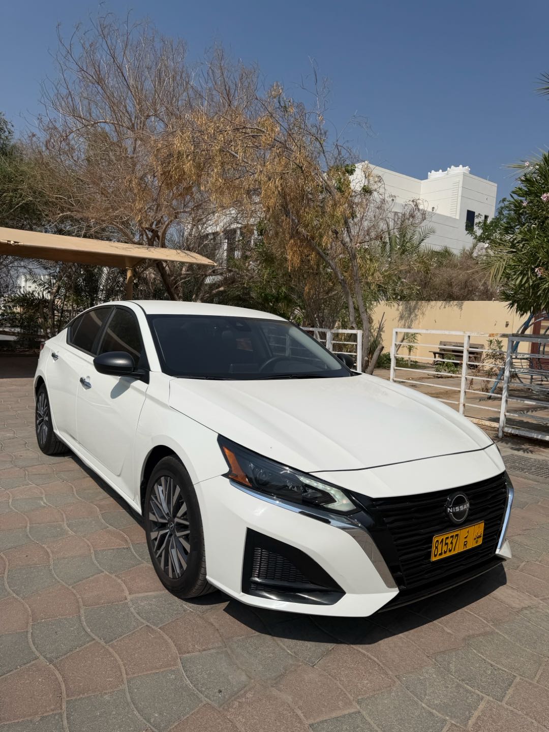 نيسان التيما SV 2025