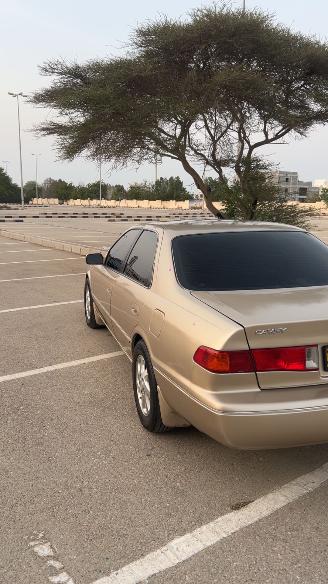 Car Image 1999 TOYOTA CAMRY SE