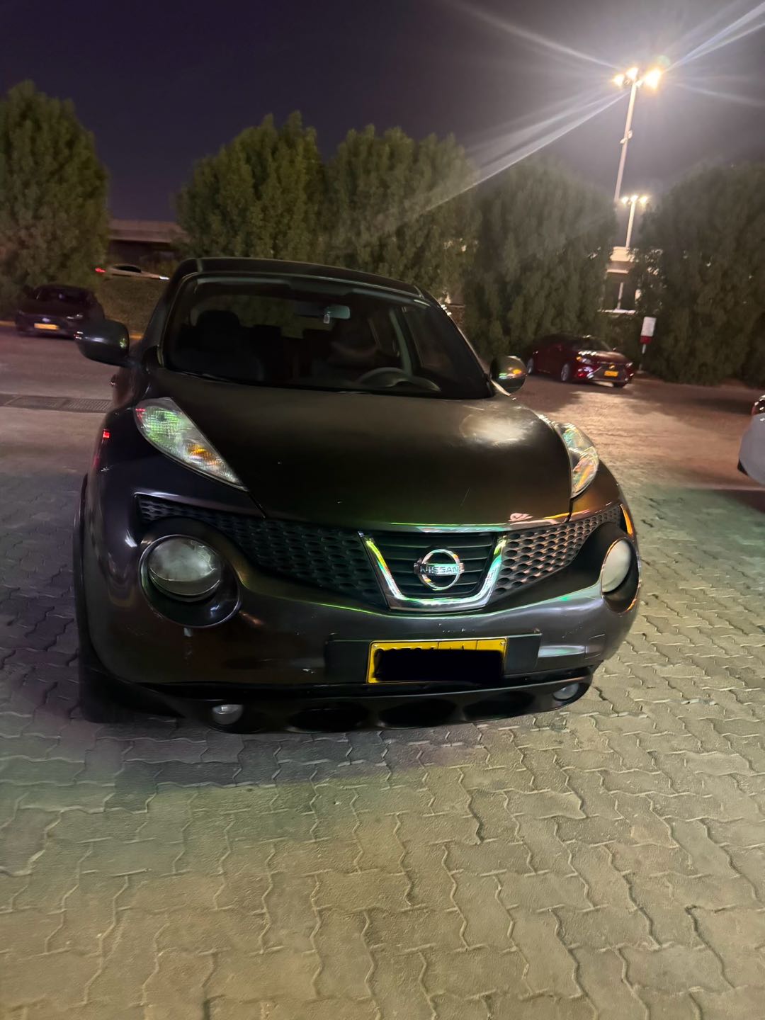 Car Image 2013 NISSAN JUKE 