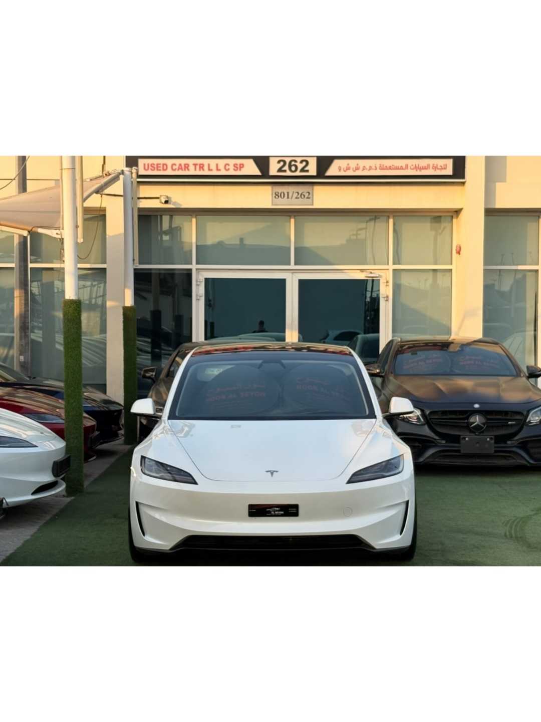 Car Image 2024 TESLA Model 3 