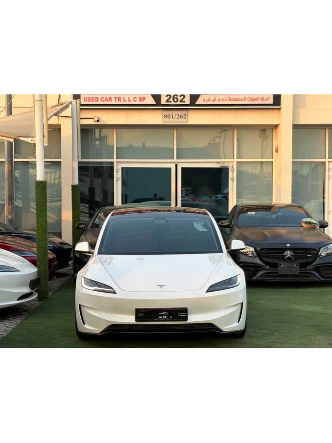 Car Image 2024 TESLA Model 3 