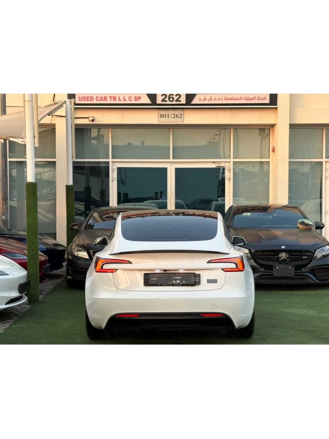 Car Image 2024 TESLA Model 3 