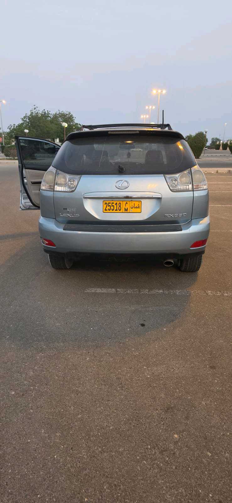 Car Image 2008 LEXUS RX 350