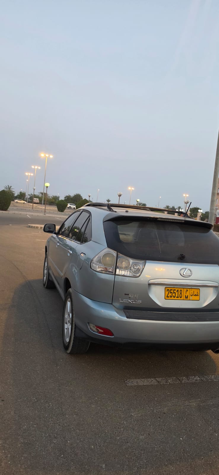 Car Image 2008 LEXUS RX 350