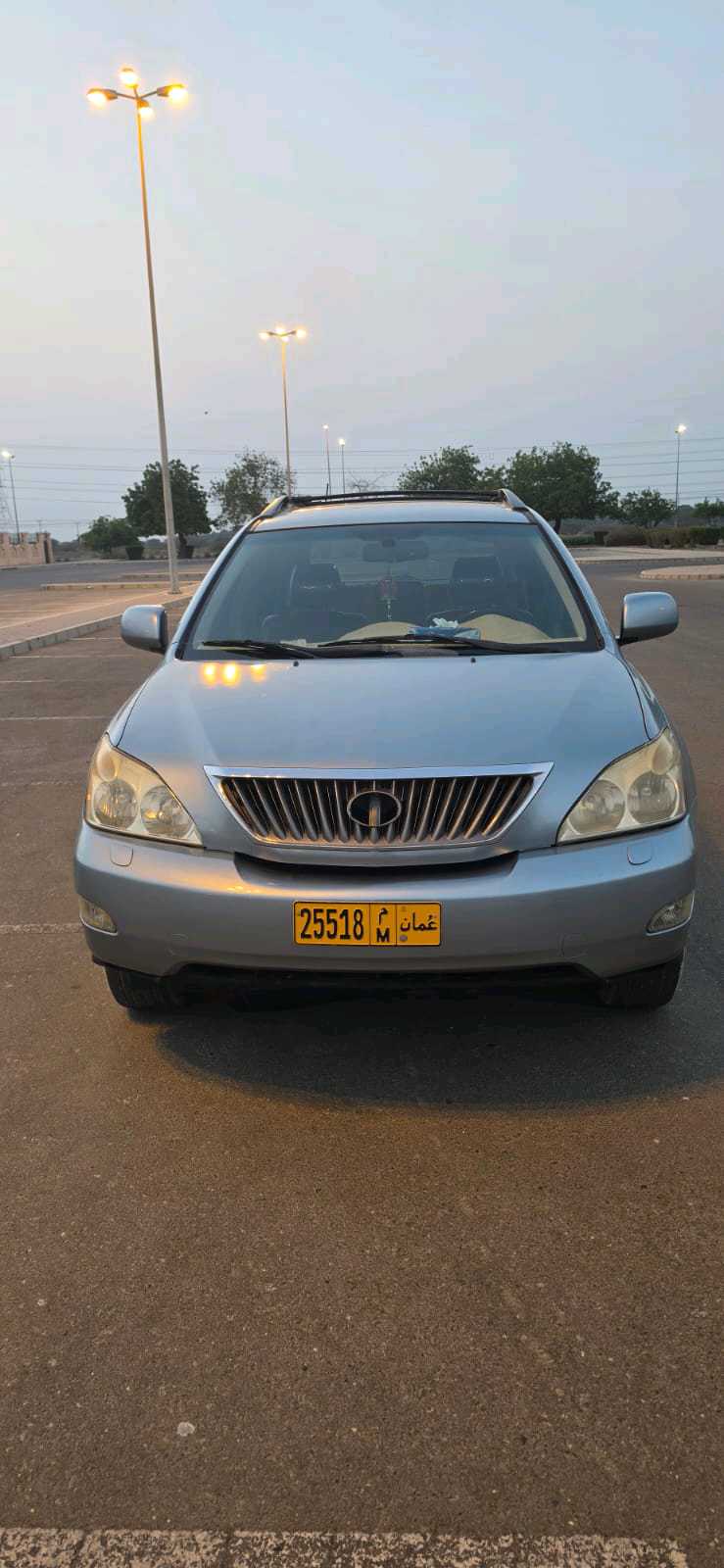 Car Image 2008 LEXUS RX 350