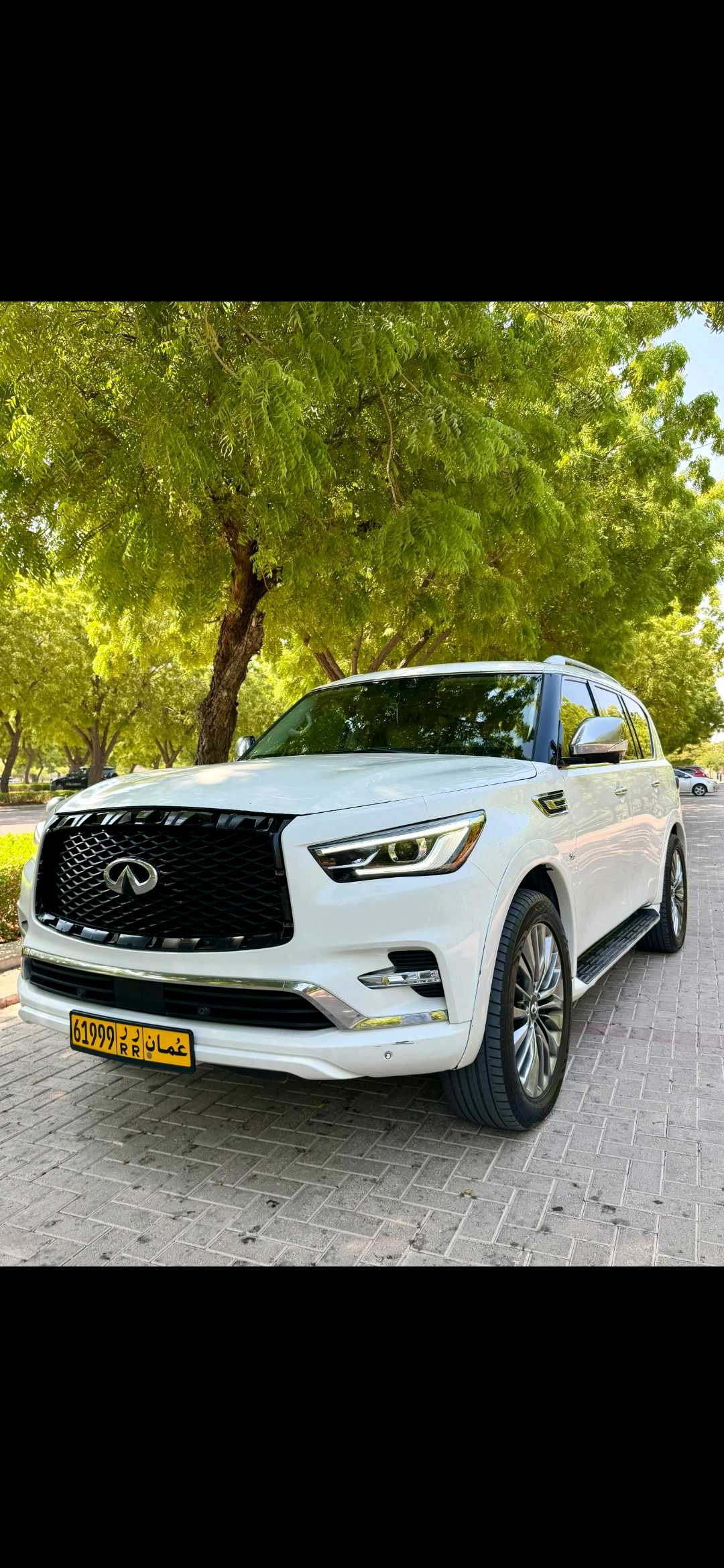 Car Image 2018 INFINITI QX80 Luxury