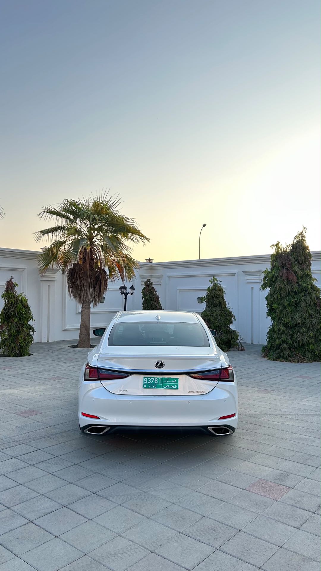 Car Image 2019 LEXUS ES 350