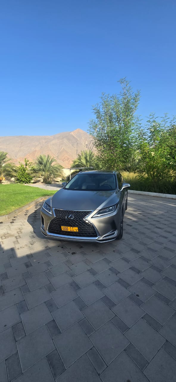 Car Image 2020 LEXUS RX 350