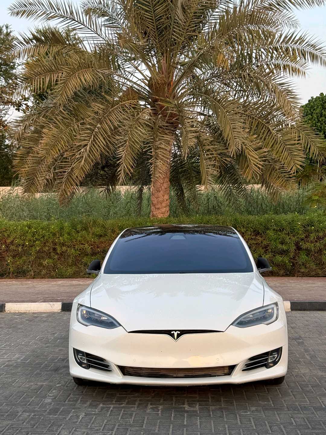 TESLA Model S 2021