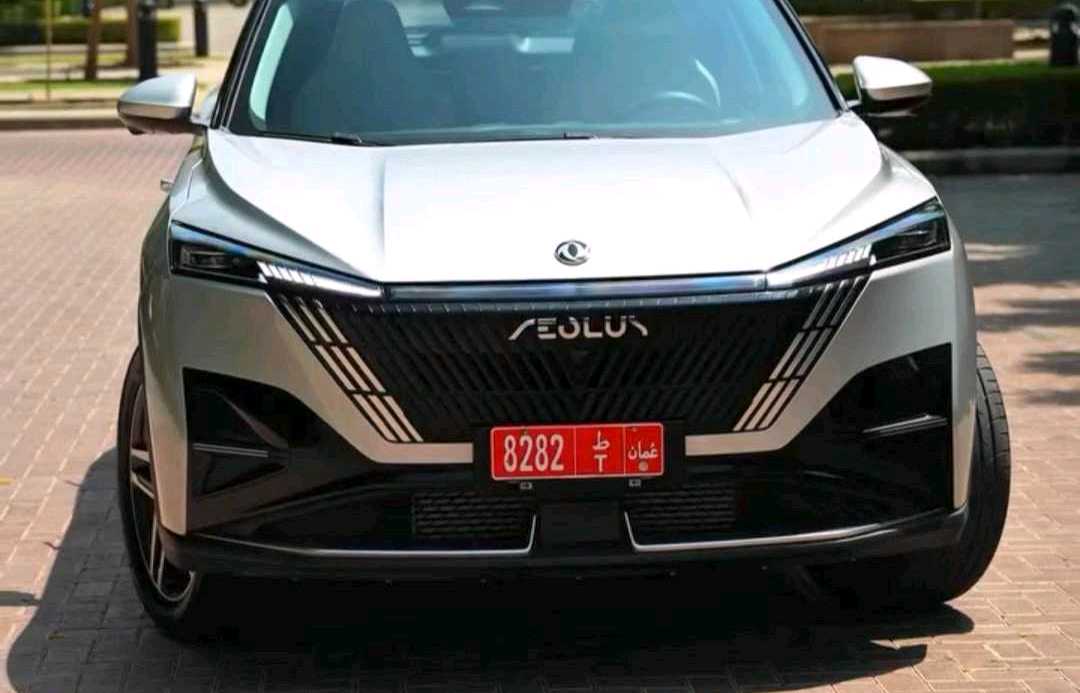 دونغفنغ ميج 2026