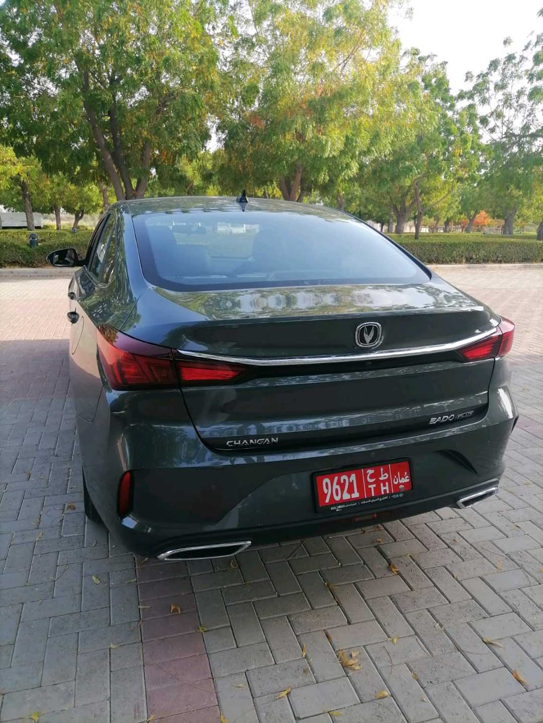 تشانجان EADO 2024