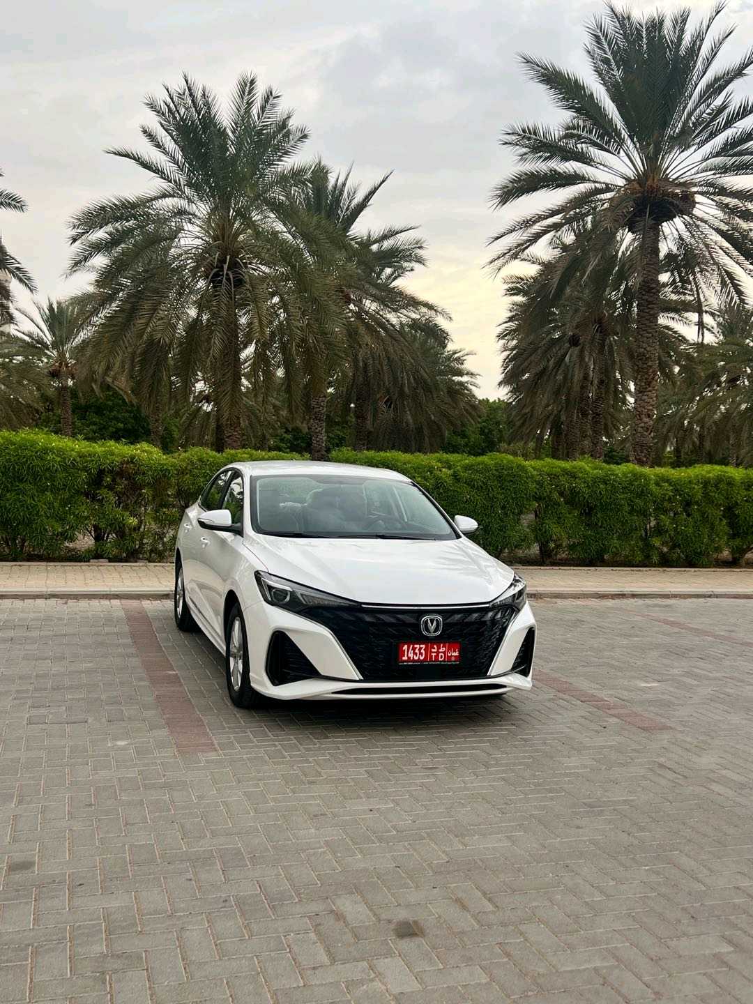 تشانجان EADO 2027
