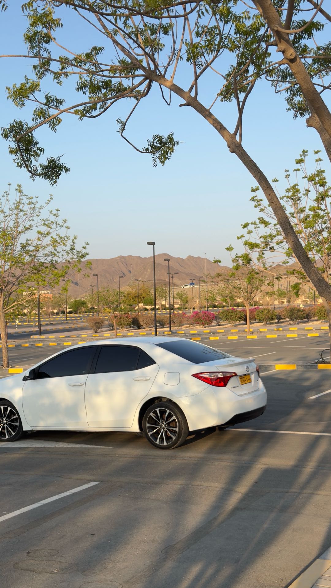 Car Image 2017 TOYOTA COROLLA L