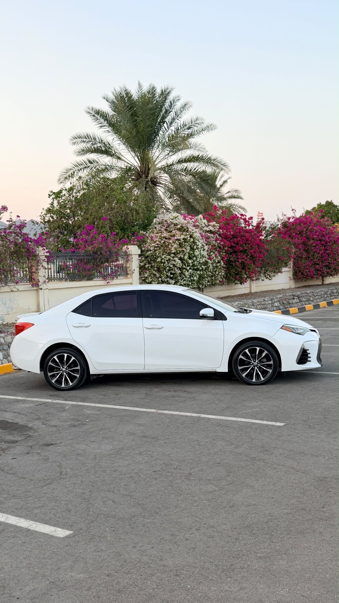 Car Image 2017 TOYOTA COROLLA SE Plus