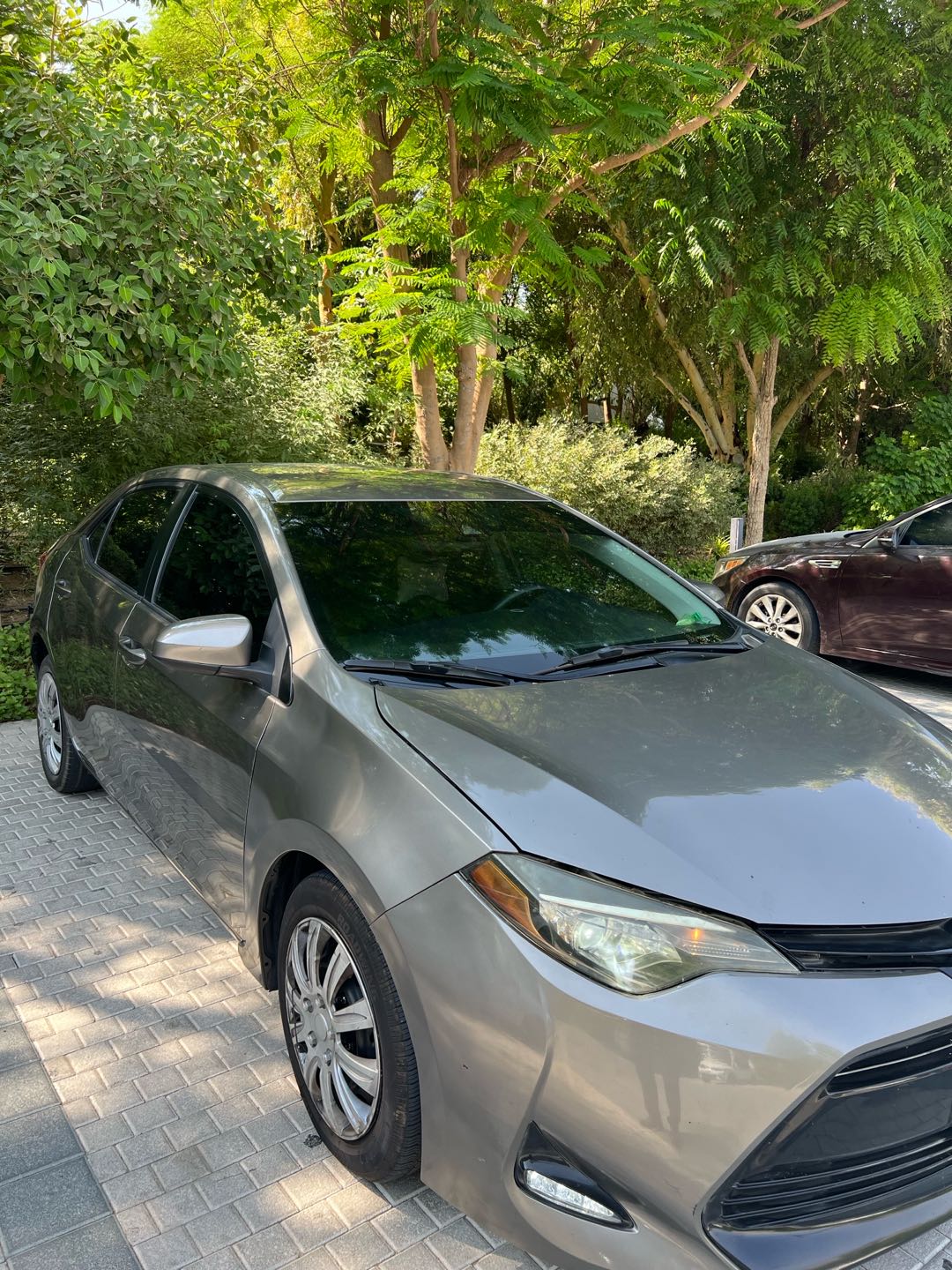 Car Image 2019 TOYOTA COROLLA L