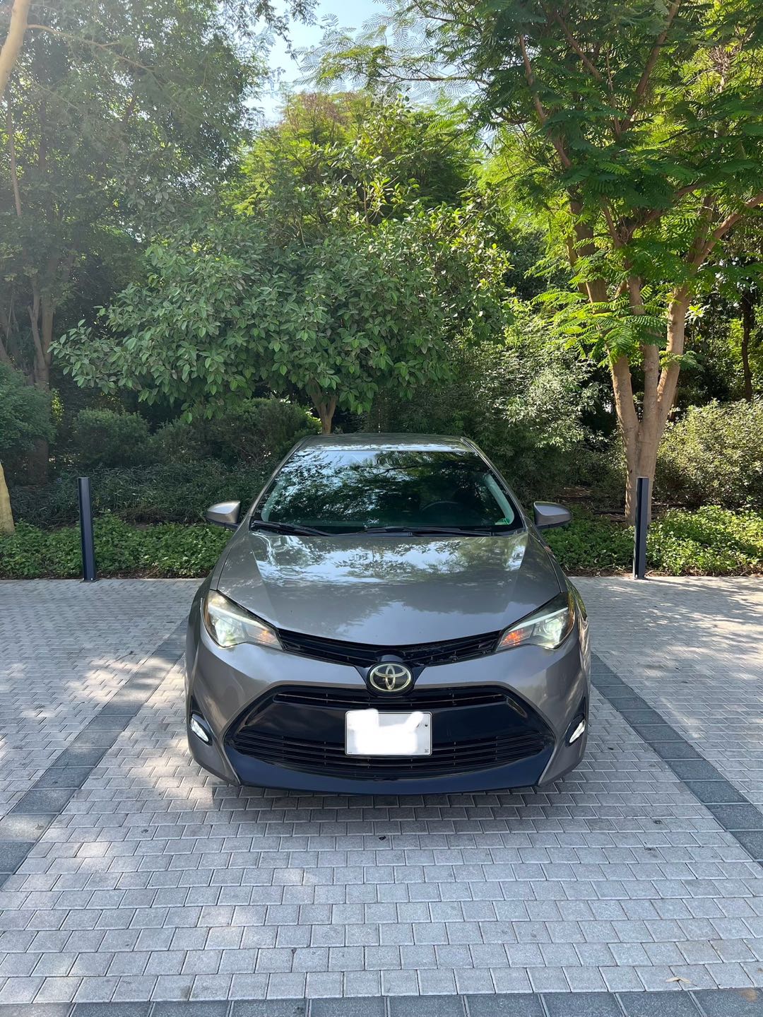 Car Image 2019 TOYOTA COROLLA L