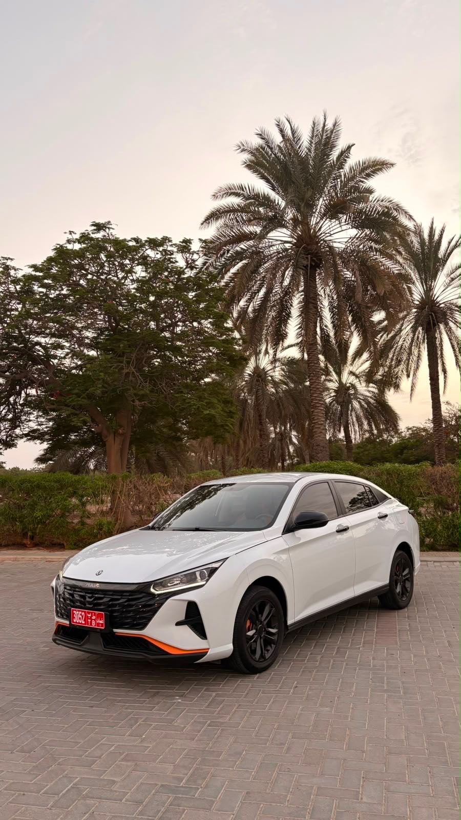 دونغفنغ SHINE 2020