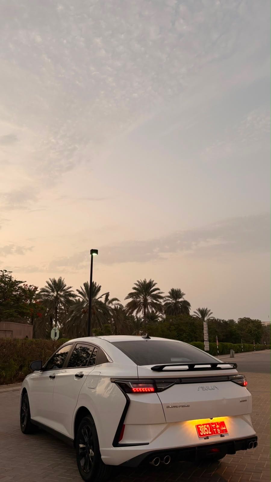 دونغفنغ SHINE 2020