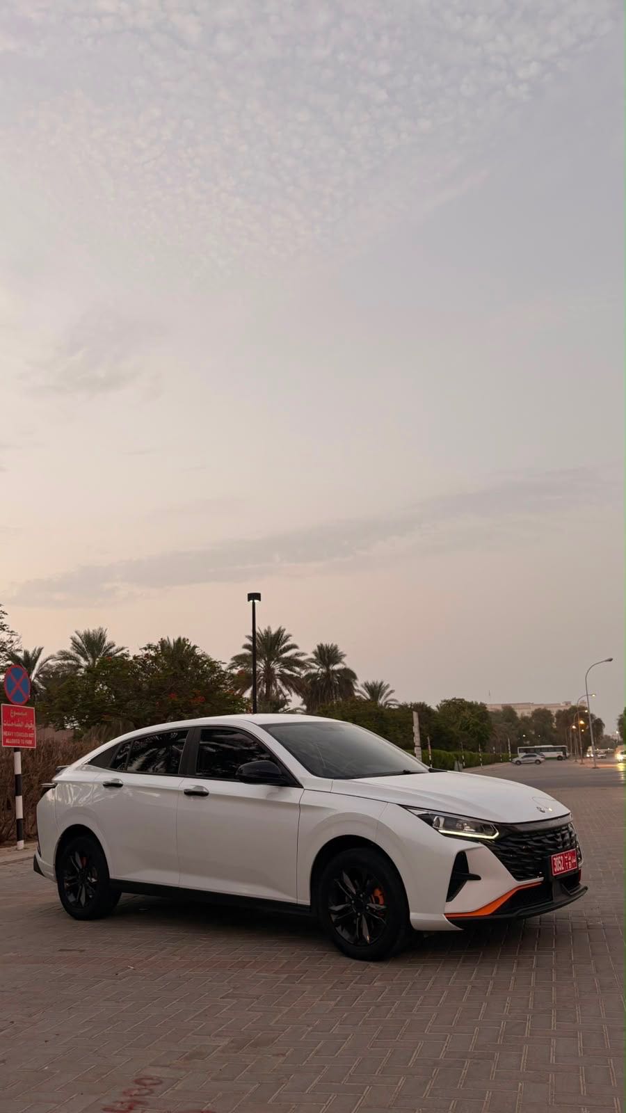 دونغفنغ SHINE 2020