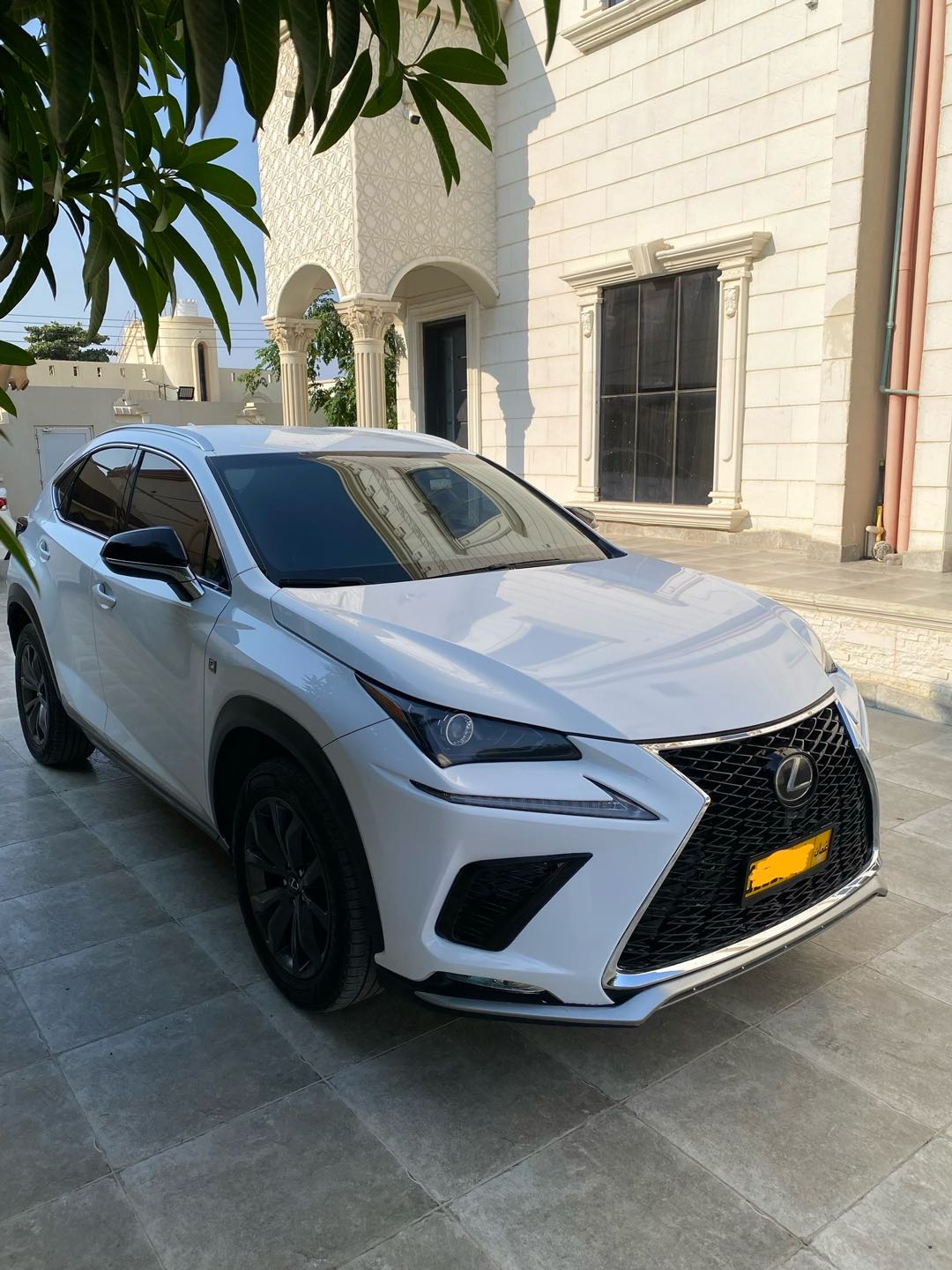 لكزس NX 300 F Sport 2019