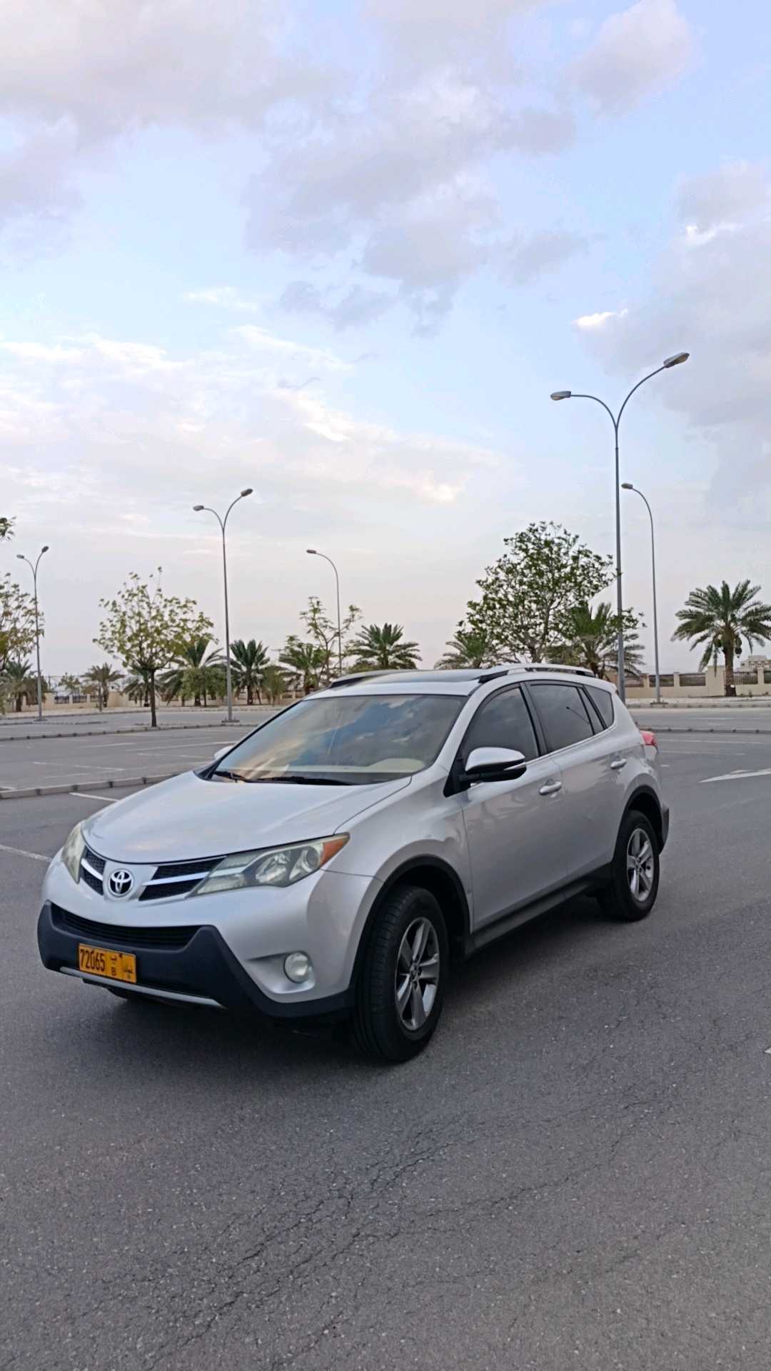 TOYOTA RAV4 XLE 2015