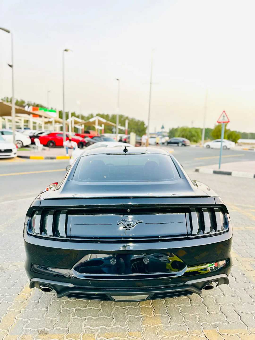 Car Image 2023 FORD MUSTANG Ecoboost