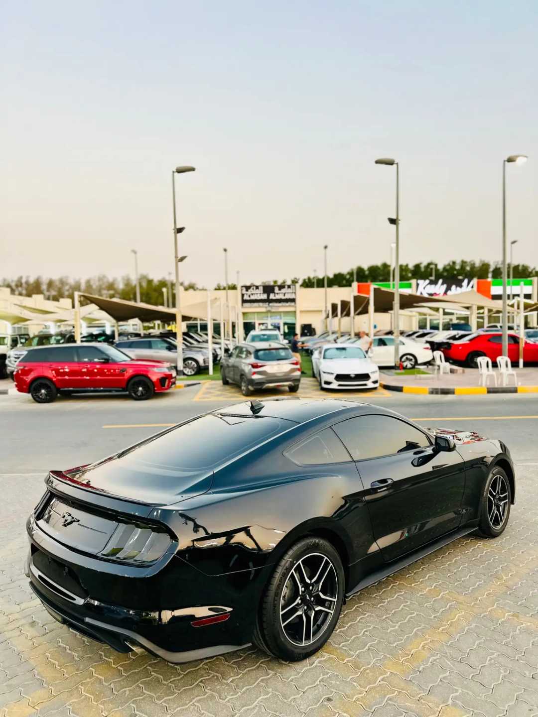 Car Image 2023 FORD MUSTANG Ecoboost