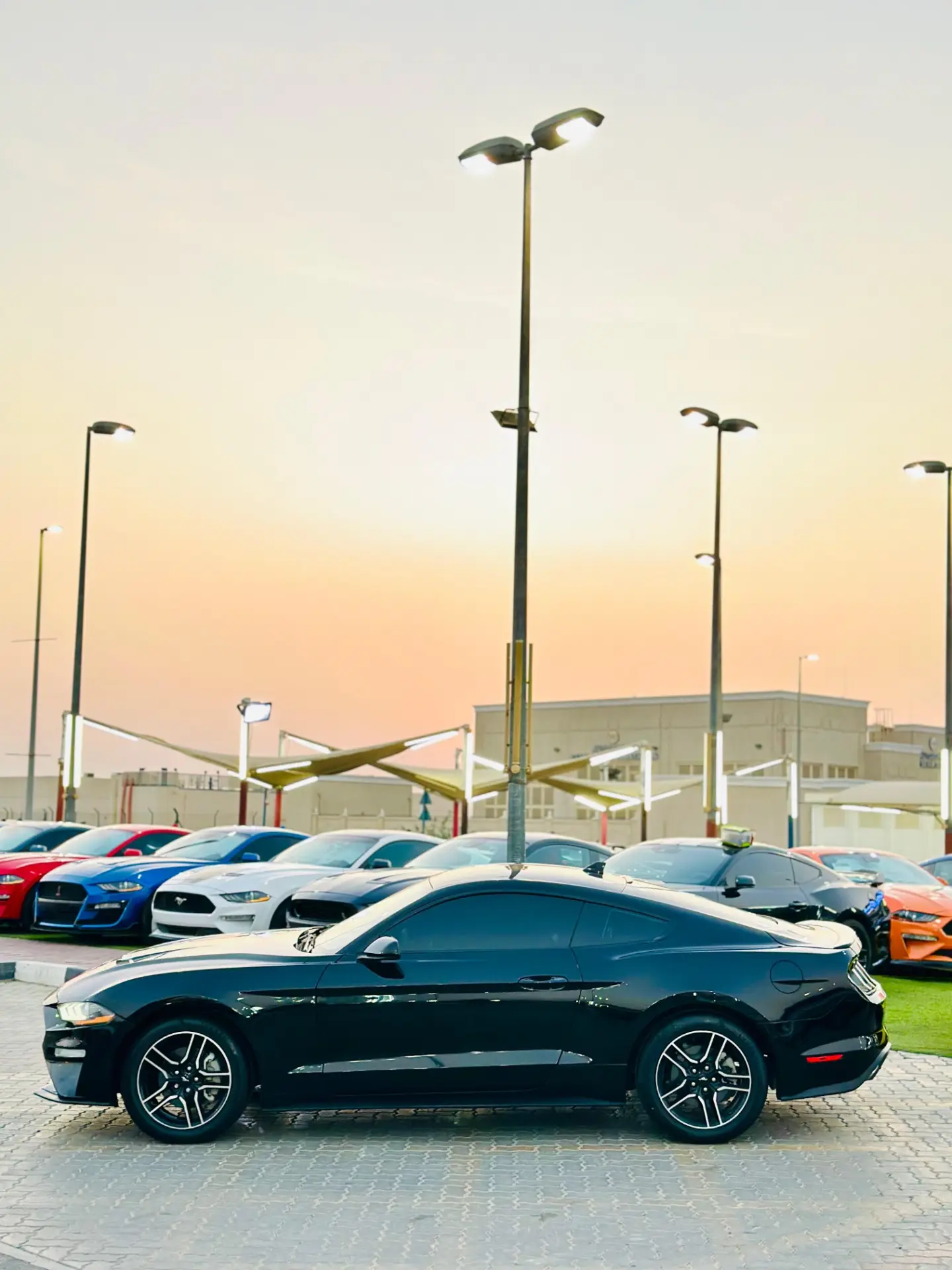 Car Image 2023 FORD MUSTANG Ecoboost