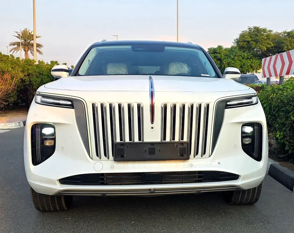 Car Image 2025 HONGQI HS9 