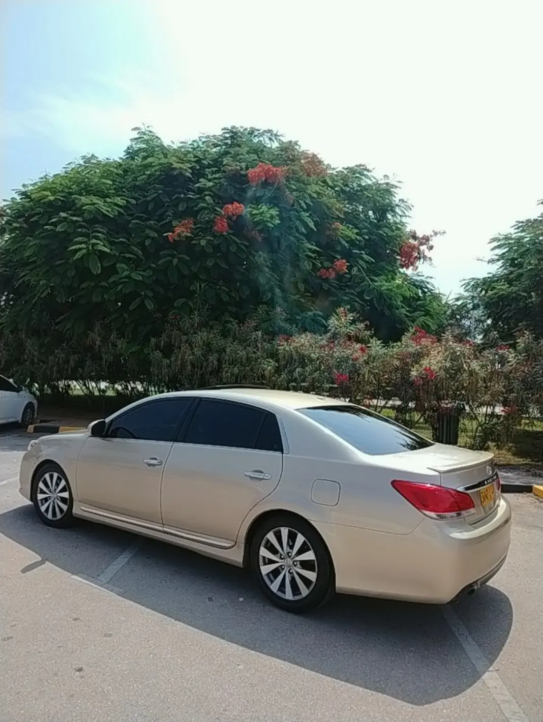 Car Image 2012 TOYOTA AVALON XLS