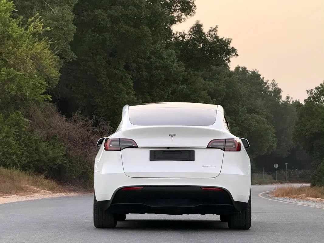 Car Image 2024 TESLA Model Y 