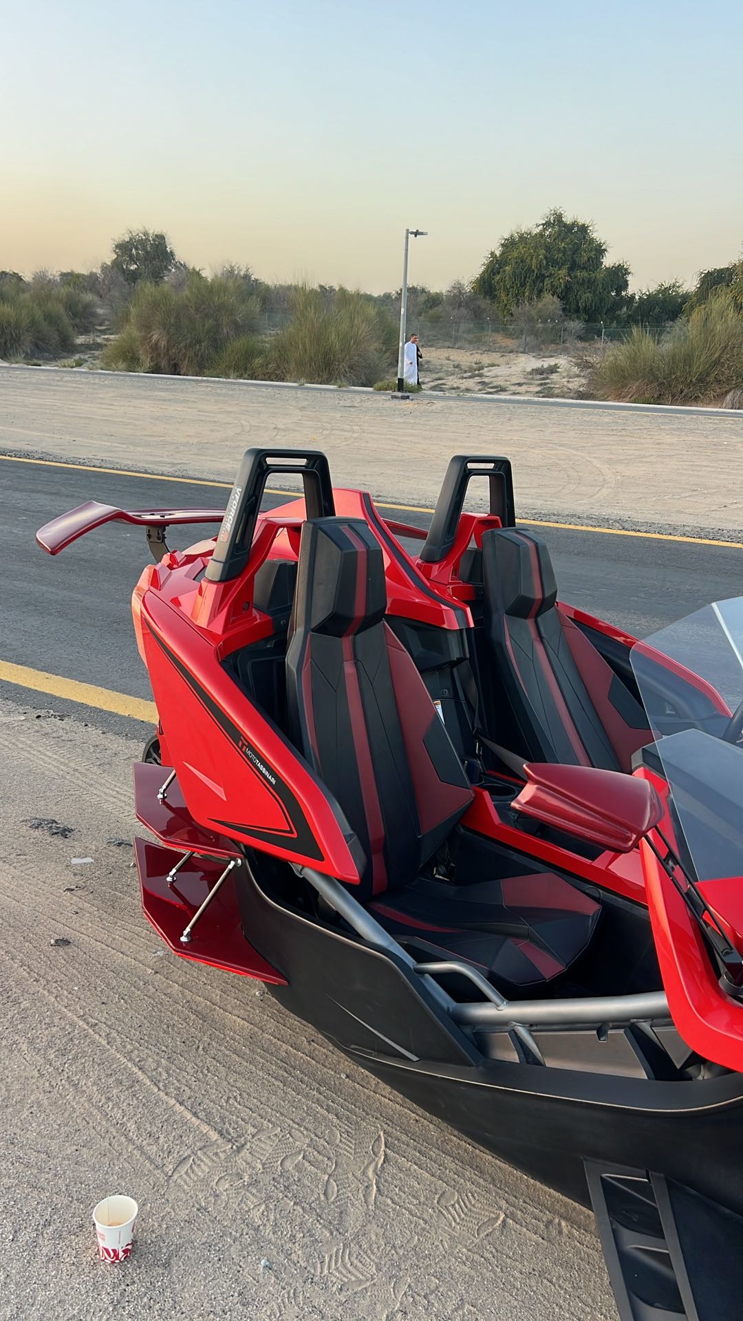 Car Image 2015 SLINGSHOT SL 