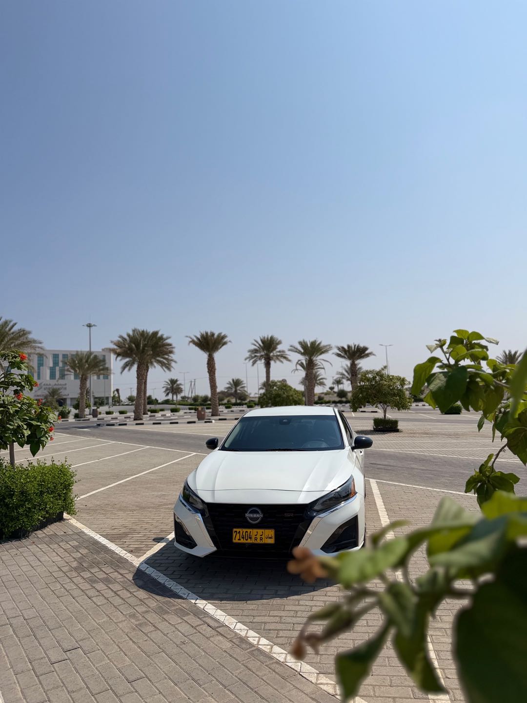 نيسان التيما SR 2024