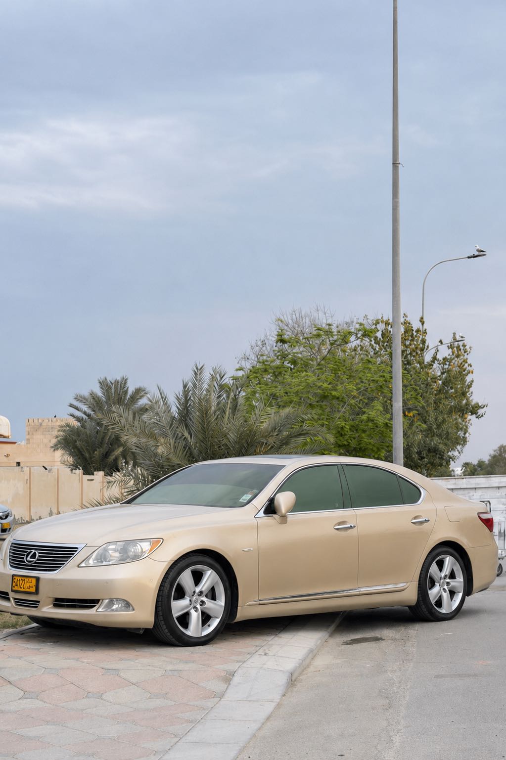LEXUS LS 460 3/4 Ultra 2009