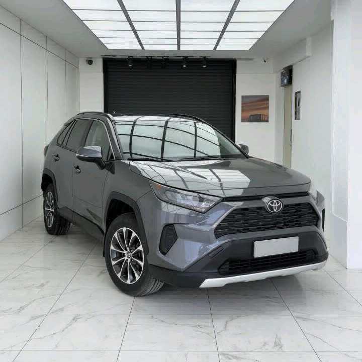 TOYOTA RAV4 LE 2020