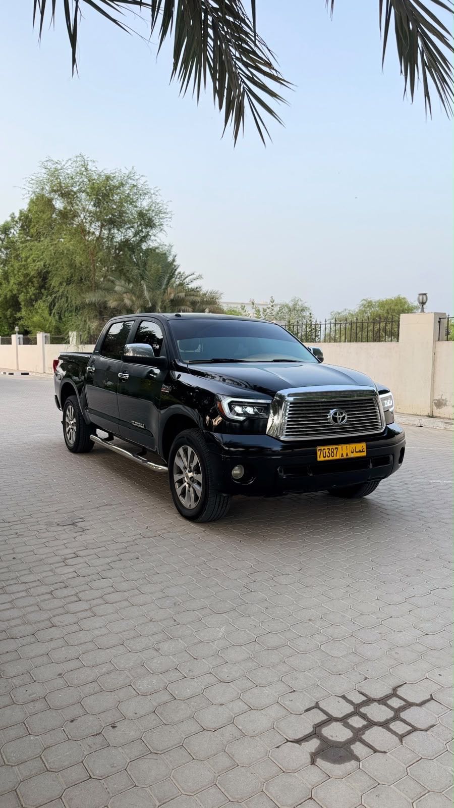 TOYOTA TUNDRA LIMITED 2010