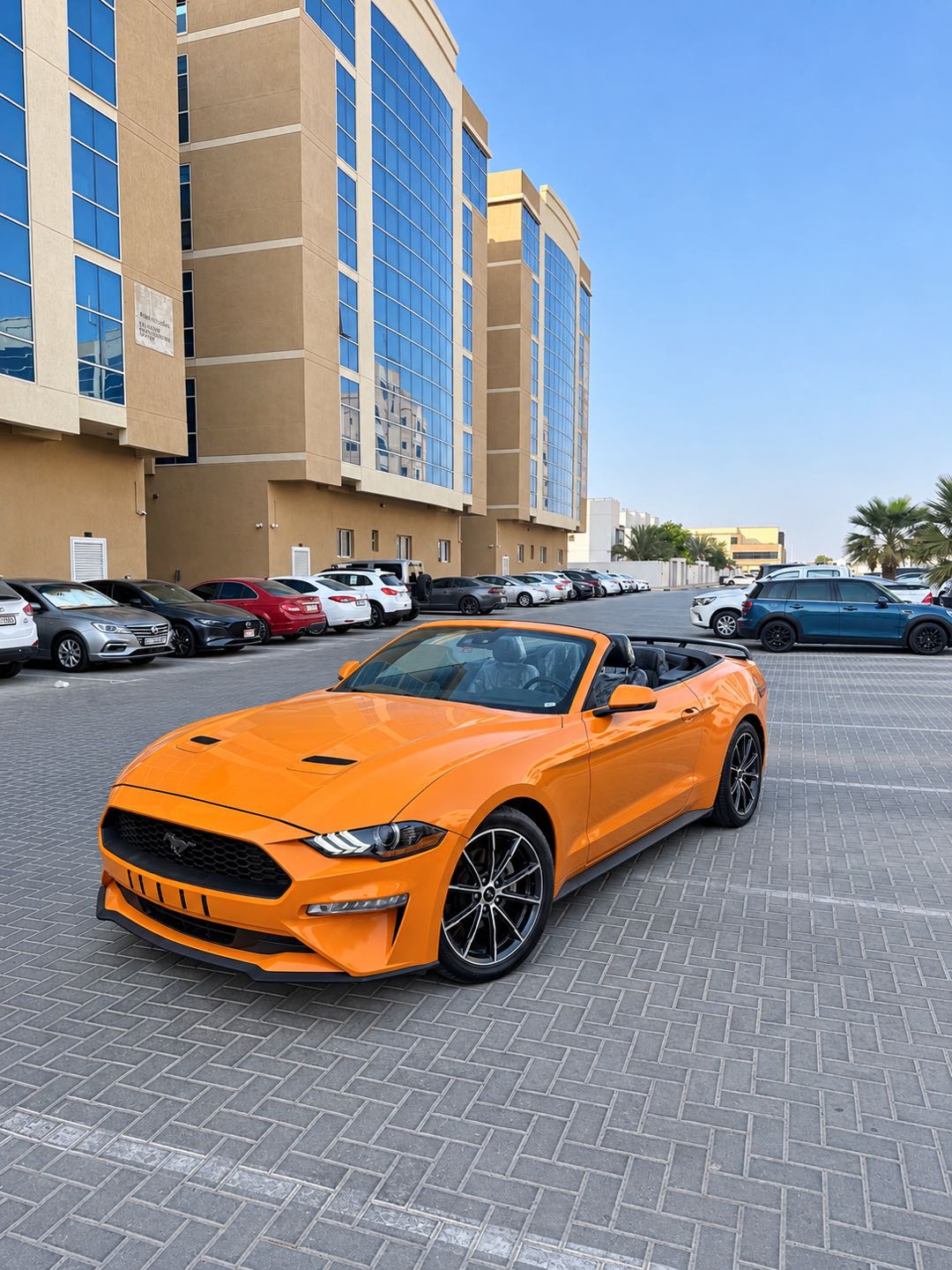 FORD MUSTANG Ecoboost 2019