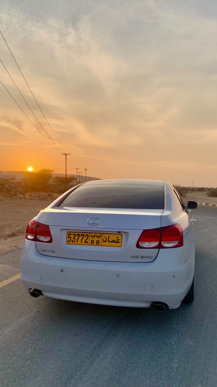 LEXUS GS 300 2010