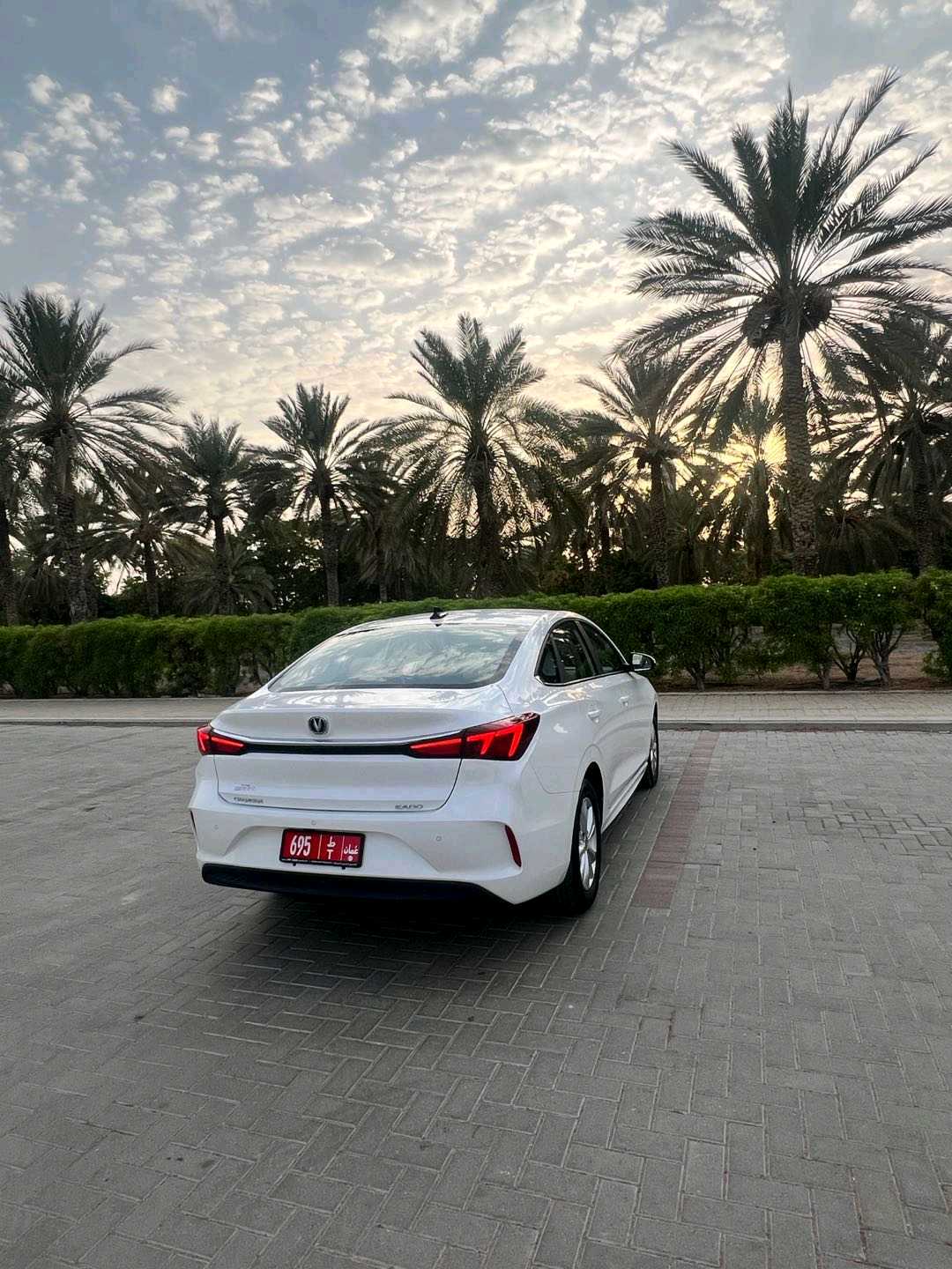 تشانجان EADO 2027