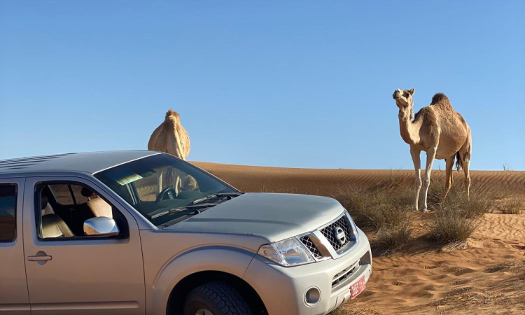 نيسان باثفيندر 2015