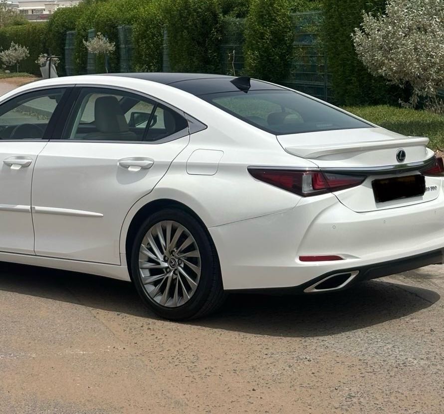 Car Image 2020 LEXUS ES 350
