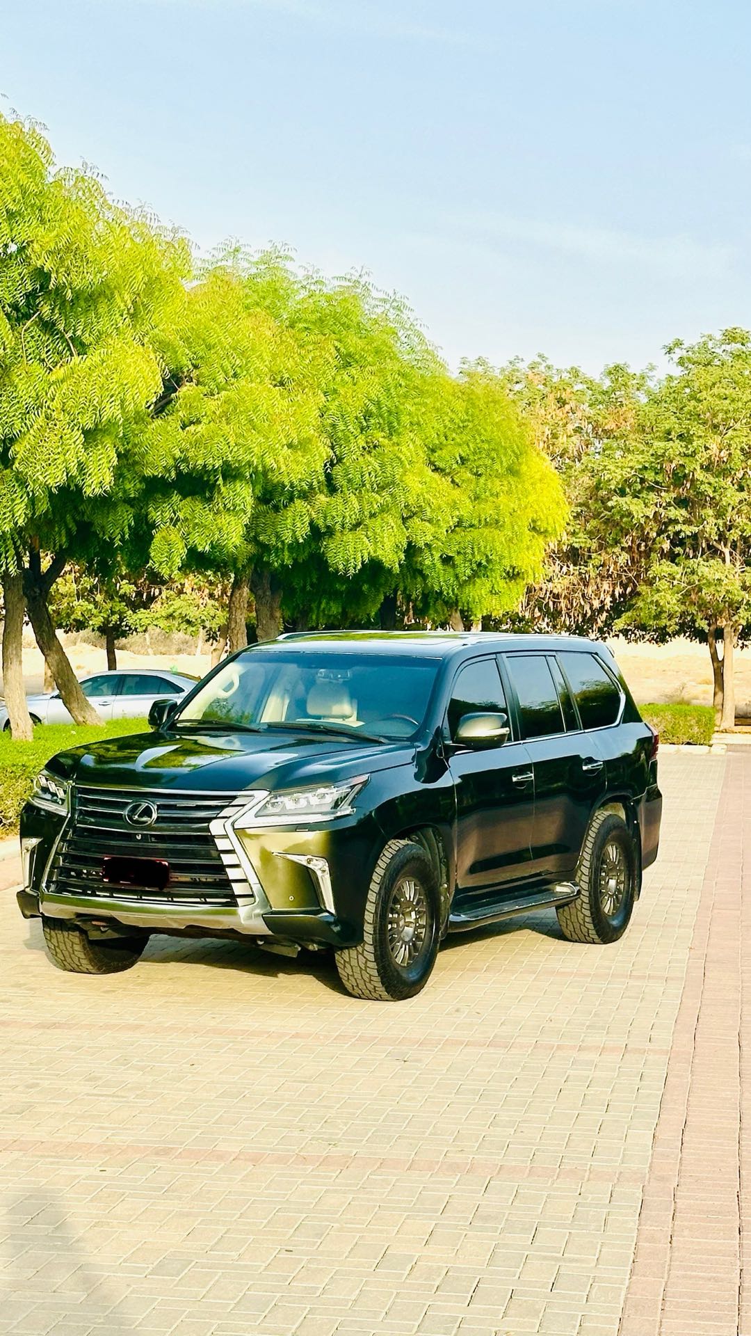 Car Image 2012 LEXUS LX 570