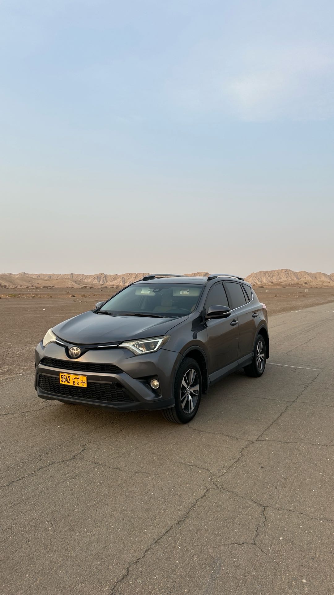 Car Image 2017 TOYOTA RAV4 XLE