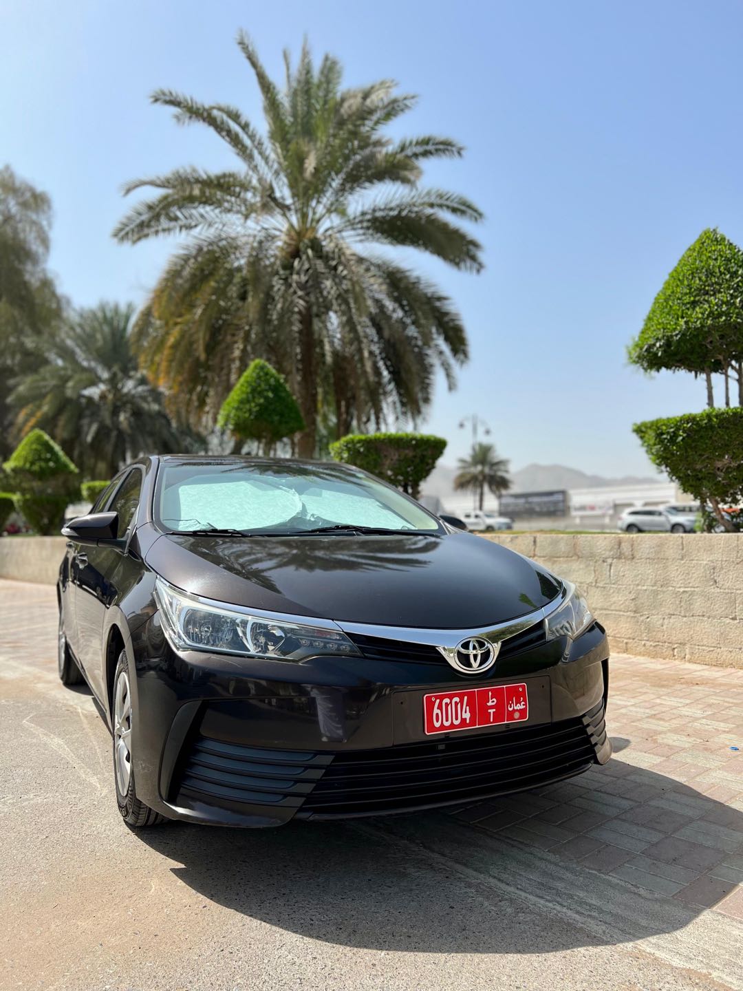 تويوتا كورولا 2019