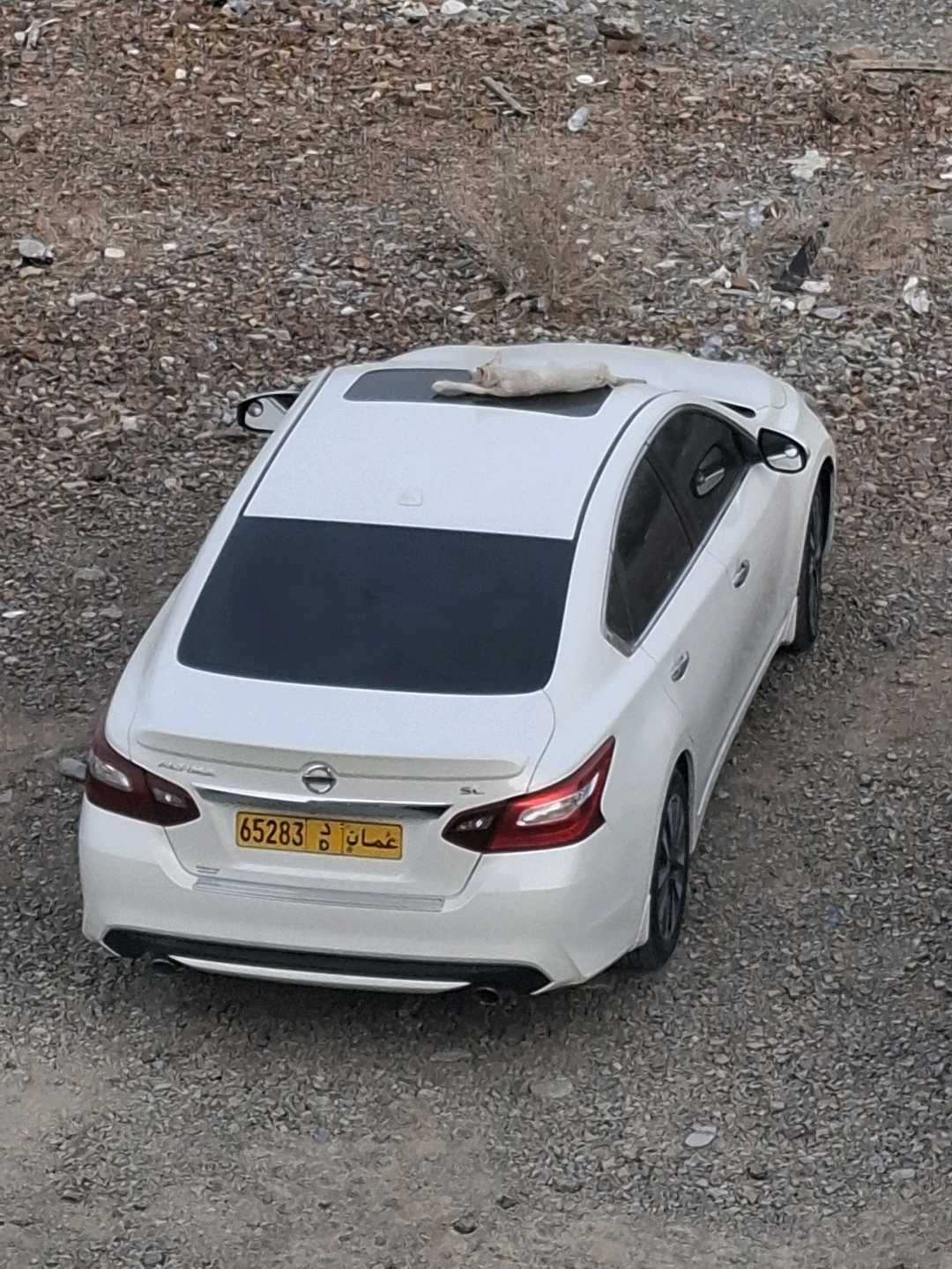 Car Image 2018 NISSAN ALTIMA SL