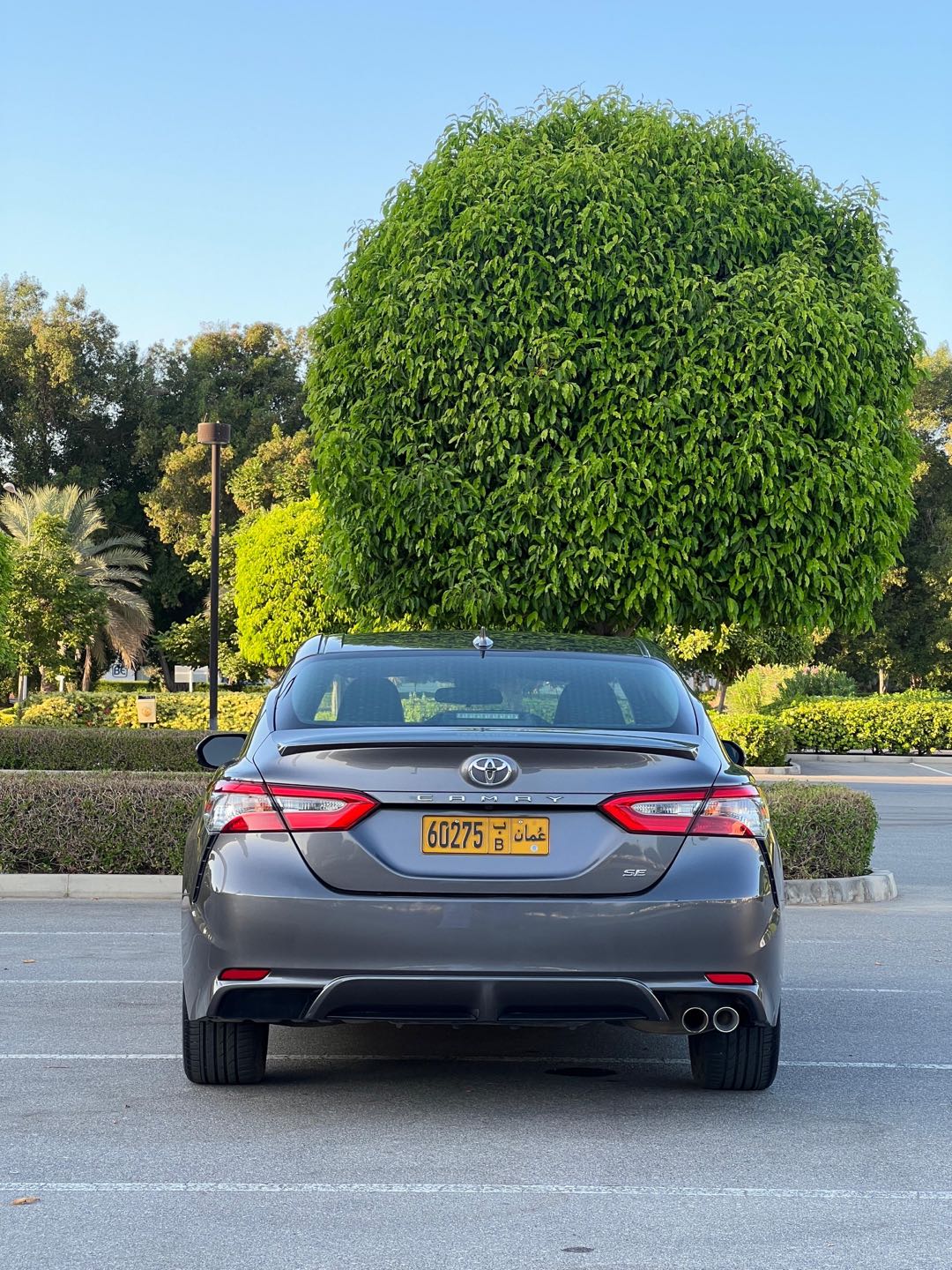 Car Image 2019 TOYOTA CAMRY SE